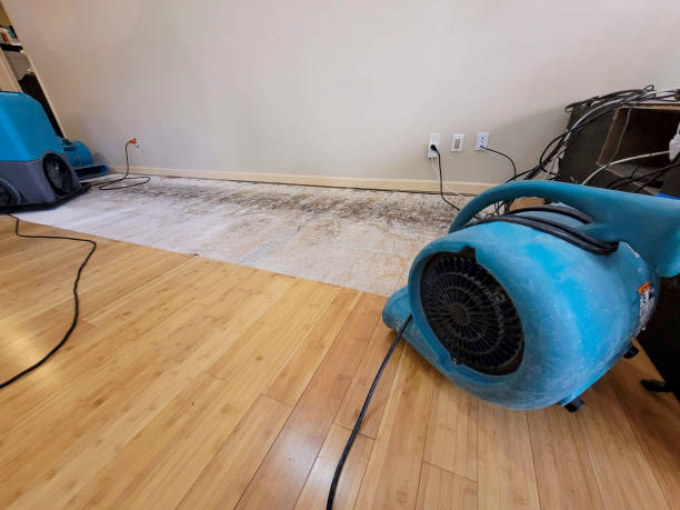 Professional Water Damage Repair technician working in Jeffersonville, IN
